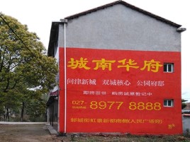 永善百分之90的人都不了解的农村墙体广告