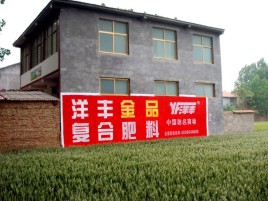 永善如何让墙体广告展现最大化效果