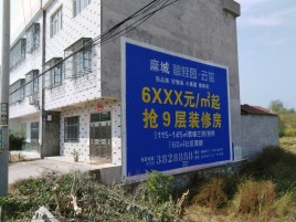 永善墙体广告质量分析