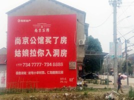 永善墙体广告在乡镇、农村市场的媒体优势